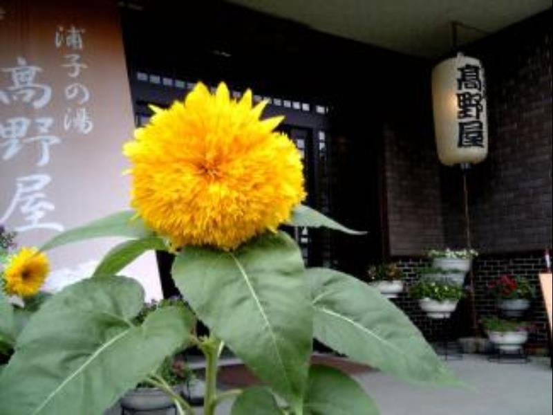 Takanoya Hotel Yuzawa  Buitenkant foto